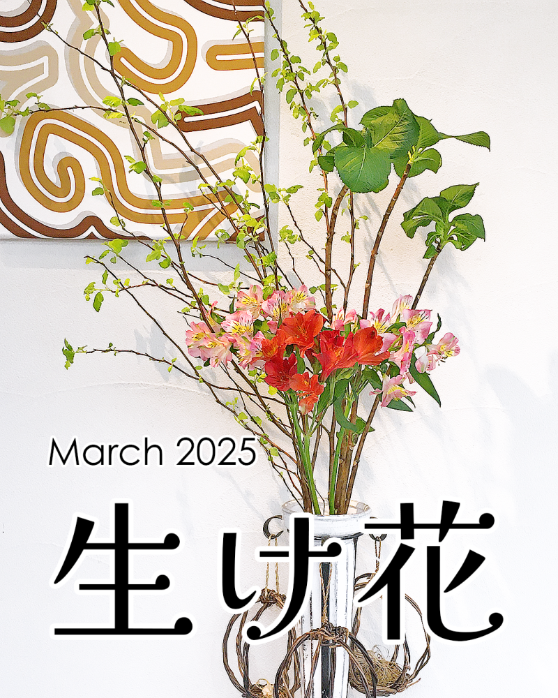 生け花/2025年3月